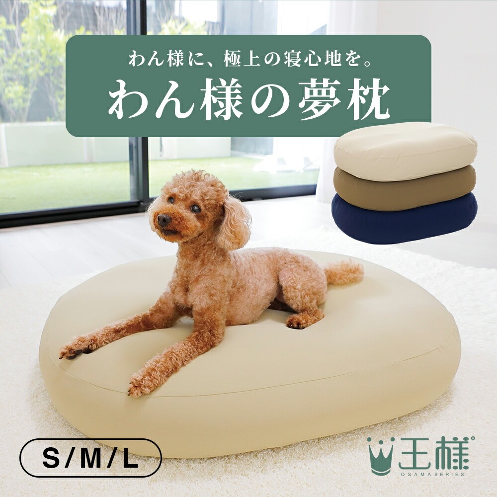 リビングで読書・「わん様の夢枕」の使用例