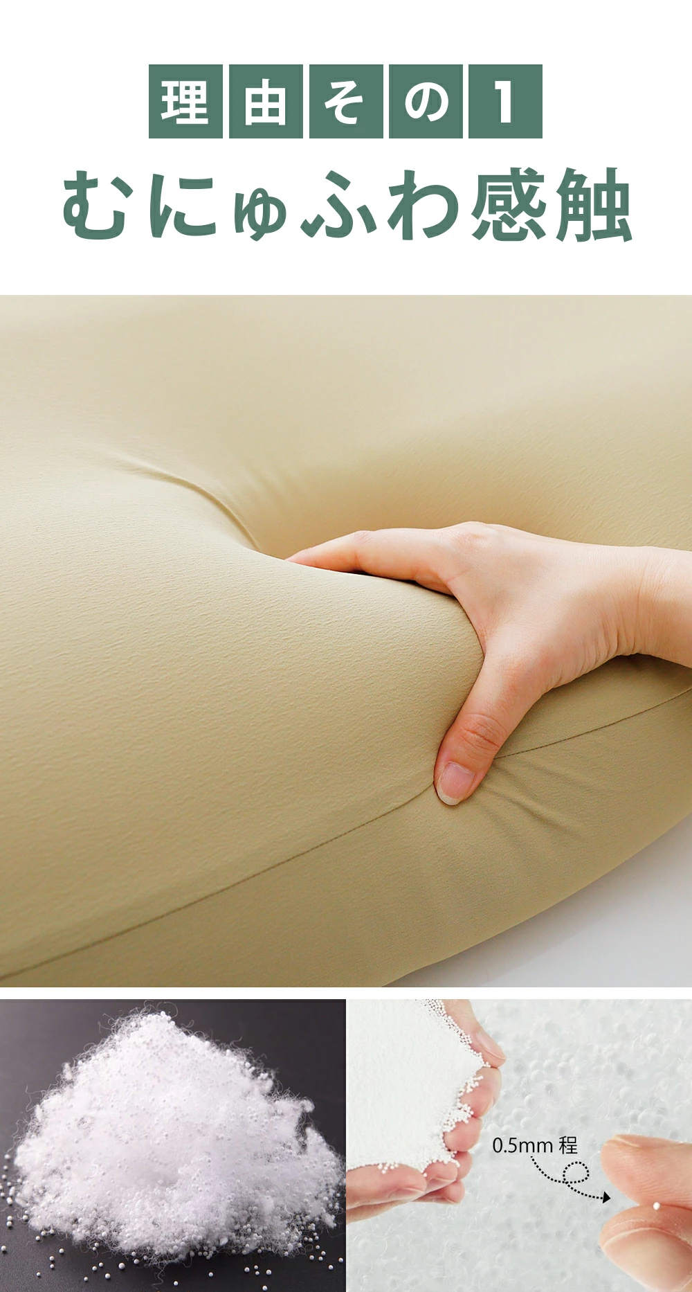 理由その1「むにゅふわ感触」|わん様の夢枕