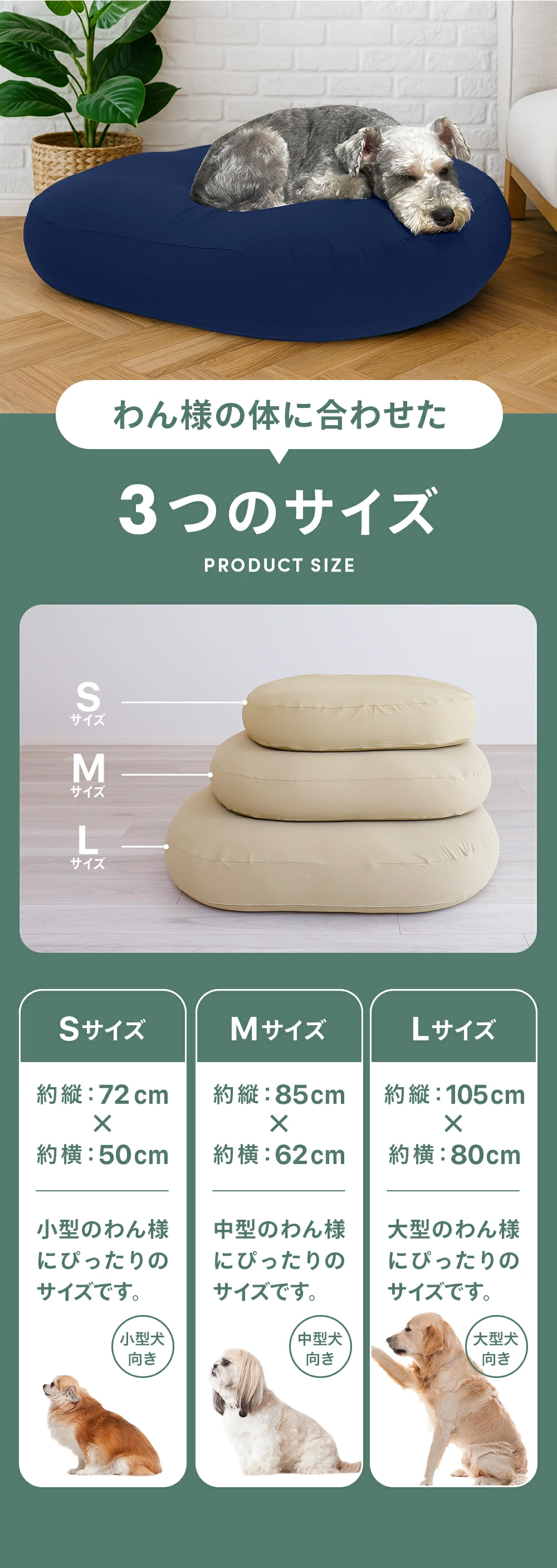 わん様の体に合わせた3つのサイズ|わん様の夢枕