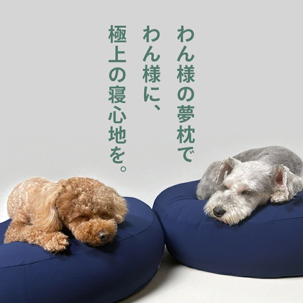 わん様|わん様の夢枕